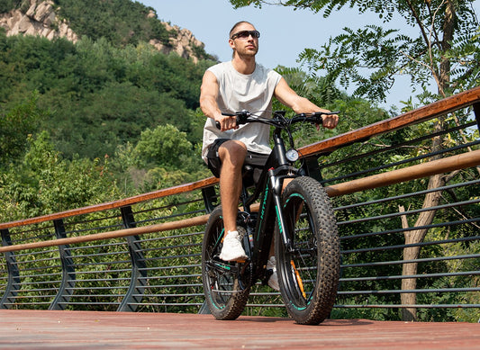 Why Choose a Fat Tyre Electric Bike for Your Daily Commute?