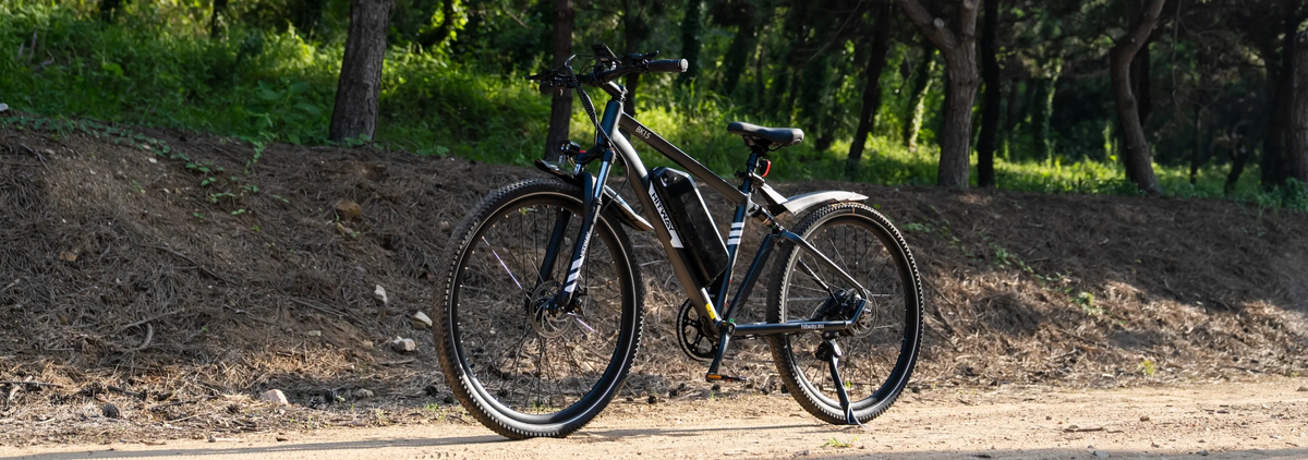 Mountain Ebikes