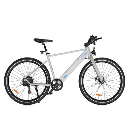 BK19 Road Electric Bike