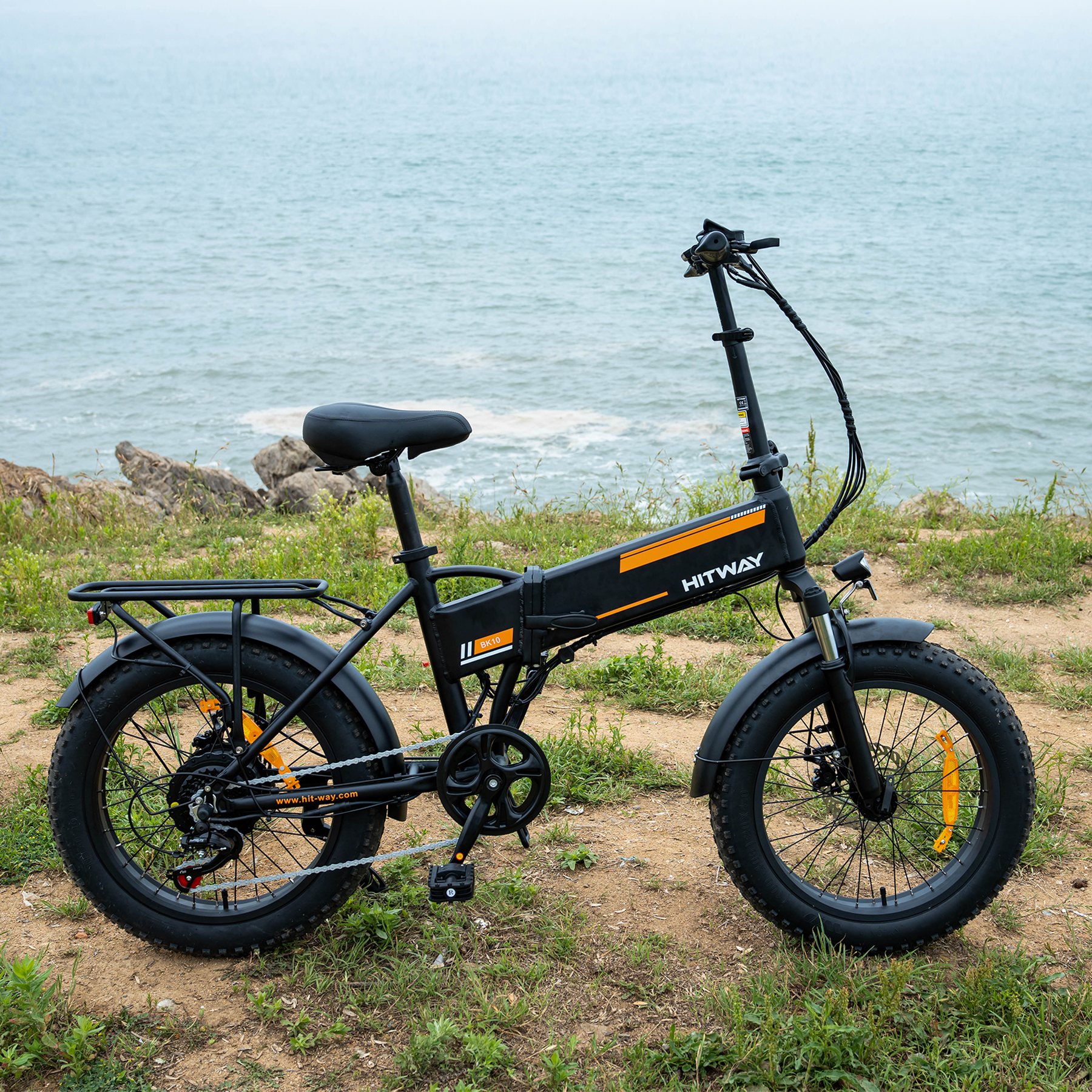 BK10 Folding Electric Bike 250W 36V 12AH 20*4.0 Fat Tire