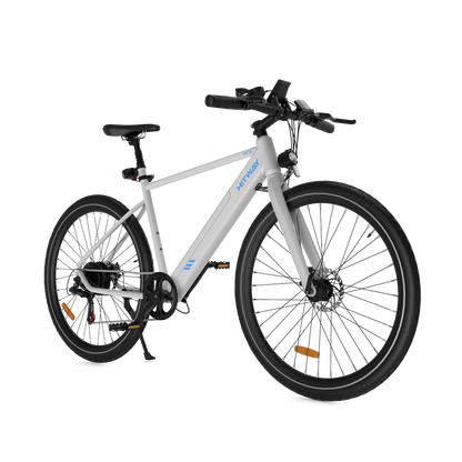 BK19 Road Electric Bike