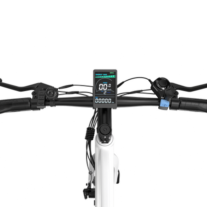 BK19 Road Electric Bike