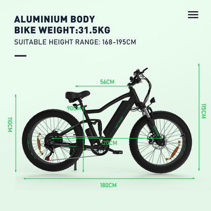 electric fat bicycle