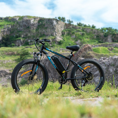 electric mtb
