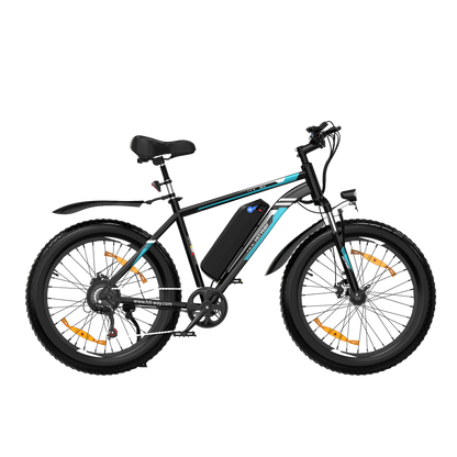 fat tire electric bike