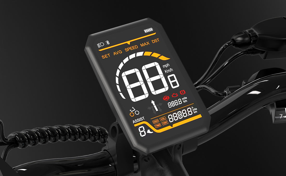 Multifunction LCD Display