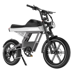 BK28 Fat Tyre Electric Bike