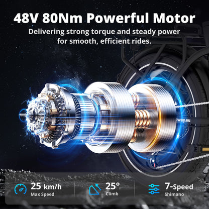 BK6S Pro Folding Electric Bike