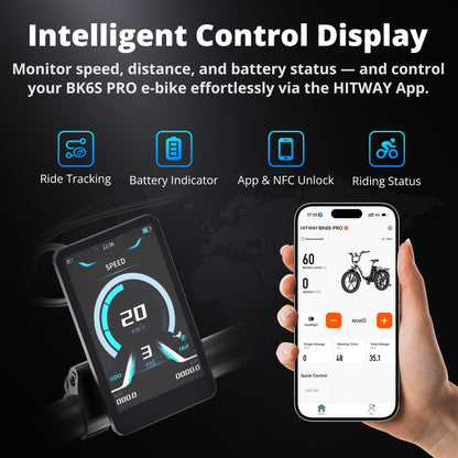 BK6S Pro Folding Electric Bike