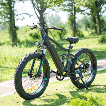 fat tire ebike