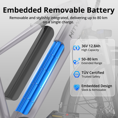 BK7S Plus 29 inch Electric Bike