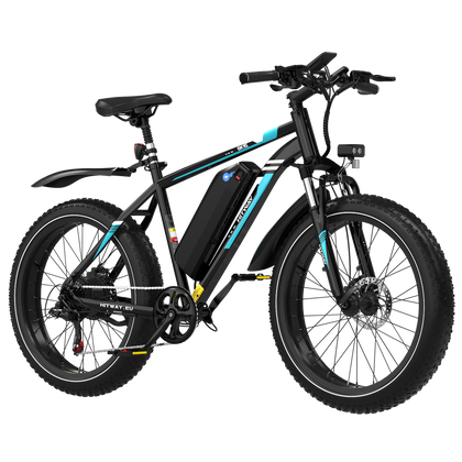 BK15 4.0 Fat Tyre Electric Bike
