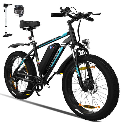 electric mountain bike
