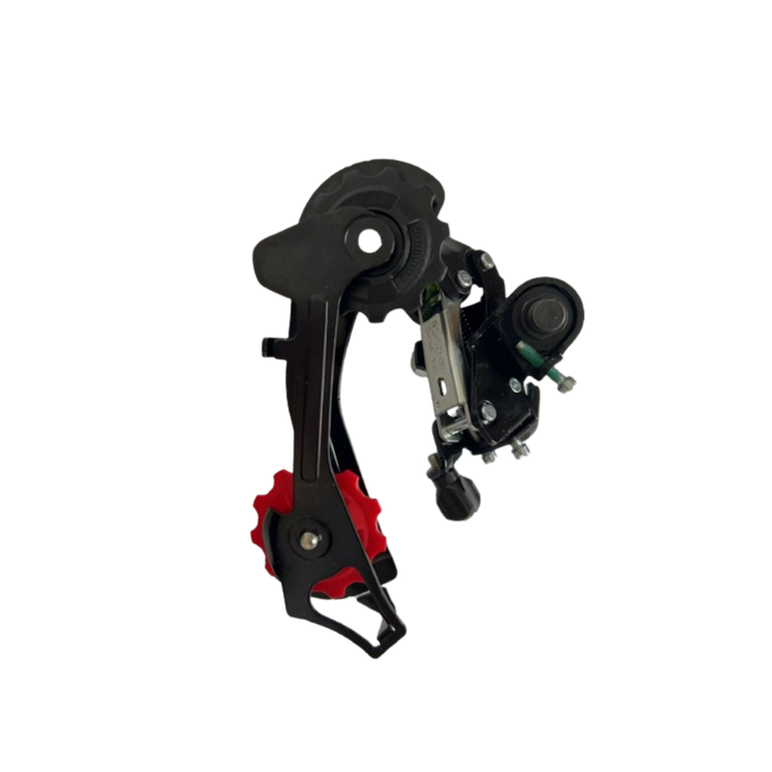 Ebike Derailleur