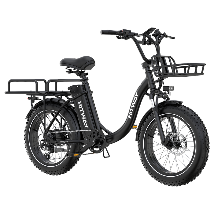 BK6S Plus Cargo Electric Bike