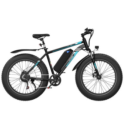 BK15 4.0 Fat Tire Electric Bike