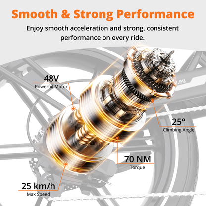 BK30 Fat Tyre Electric Bike