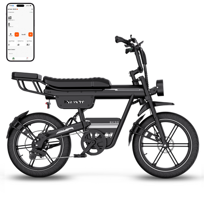 BK30 Fat Tyre Electric Bike