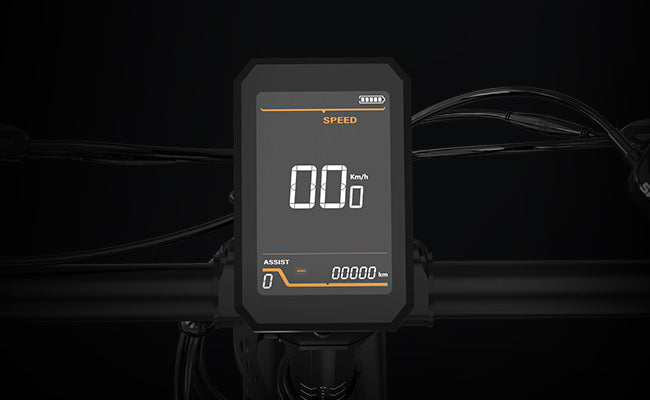 LCD Display for Real-Time Ride Information